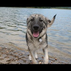 Meet your Posher, Nicholas